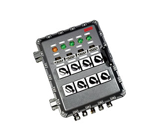 What is Ex d box?